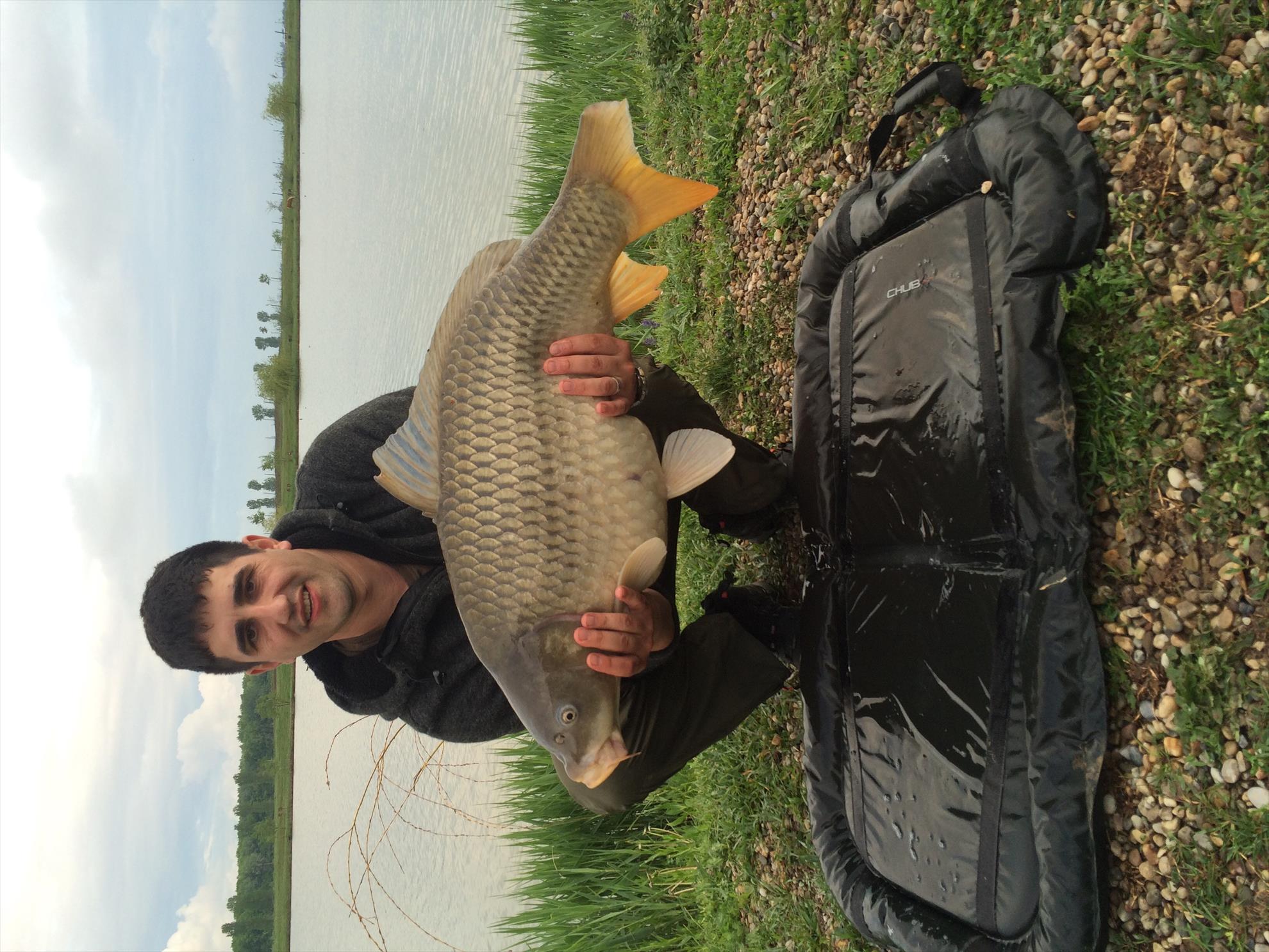 Balta mobydick dorlot - image1111111.jpg